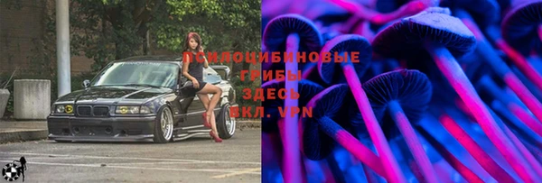 кокс Бородино