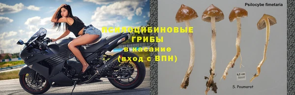 ПСИЛОЦИБИНОВЫЕ ГРИБЫ Бугульма
