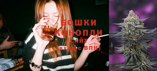 кокс Бородино