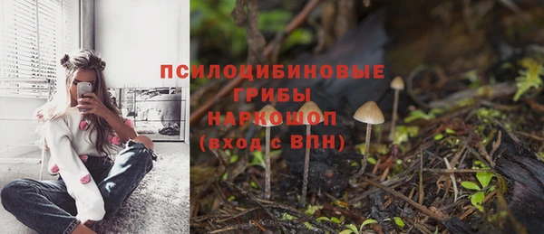 ПСИЛОЦИБИНОВЫЕ ГРИБЫ Бугульма
